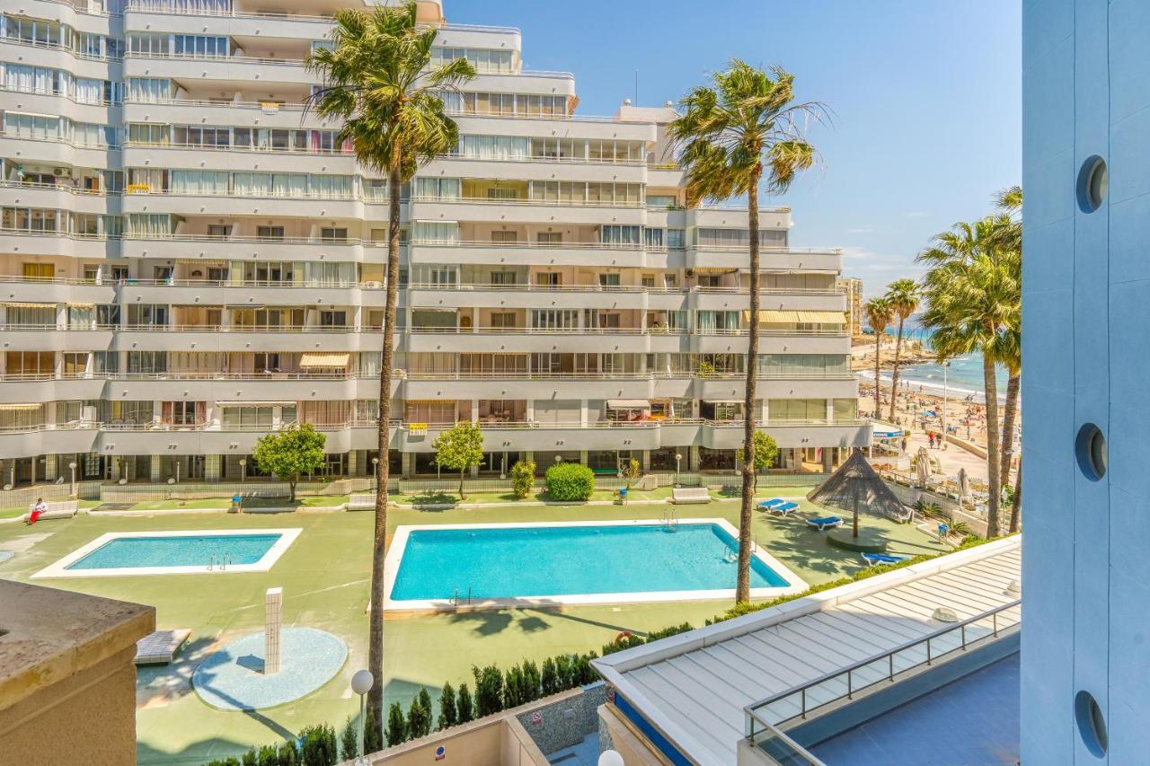 Hipocampos Unitursa Calp